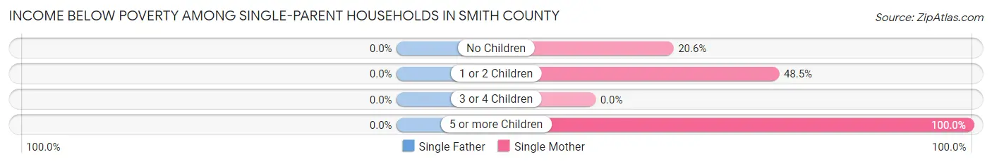 Income Below Poverty Among Single-Parent Households in Smith County