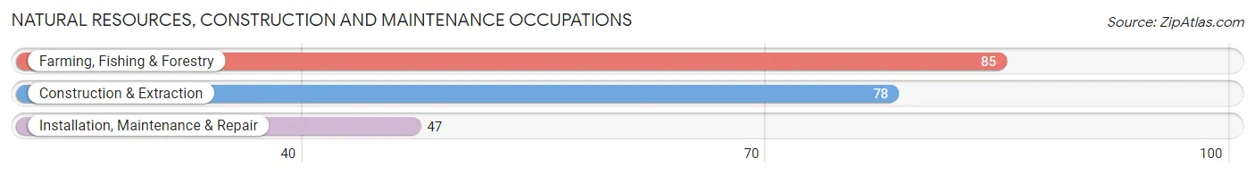 Natural Resources, Construction and Maintenance Occupations in Smith County