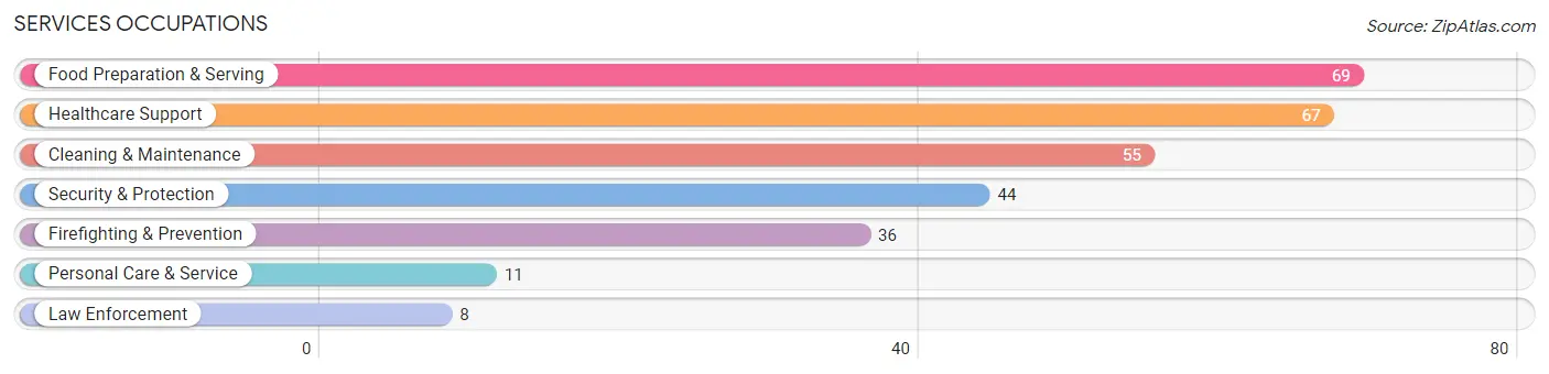 Services Occupations in Smith County