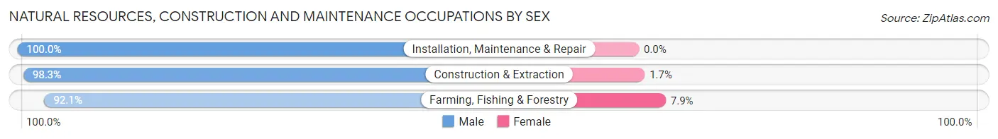 Natural Resources, Construction and Maintenance Occupations by Sex in Stafford County