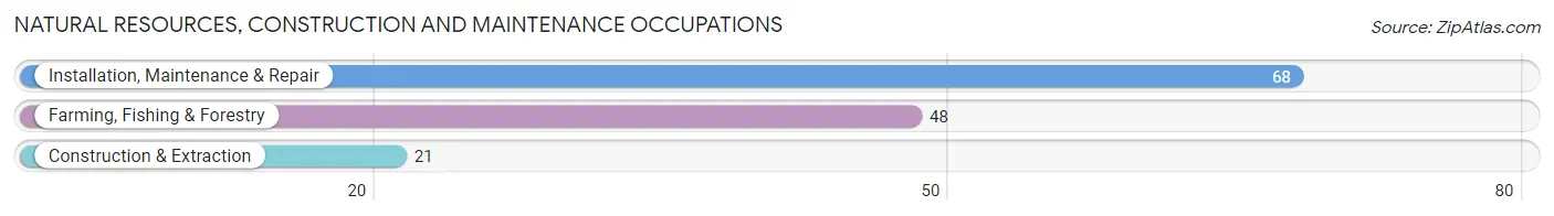 Natural Resources, Construction and Maintenance Occupations in Wichita County