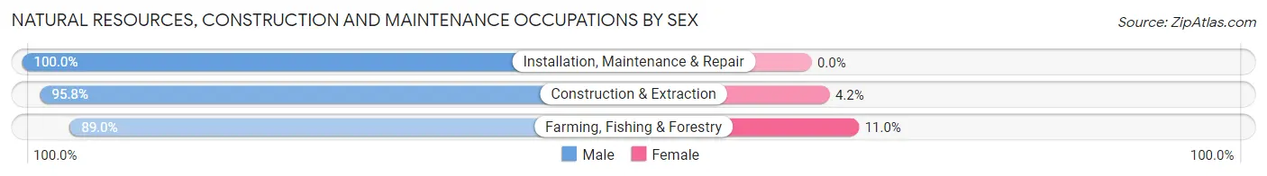 Natural Resources, Construction and Maintenance Occupations by Sex in Lincoln County
