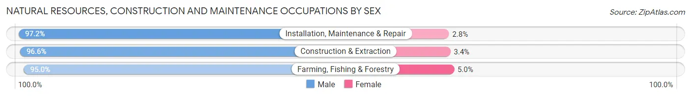 Natural Resources, Construction and Maintenance Occupations by Sex in Oxford County