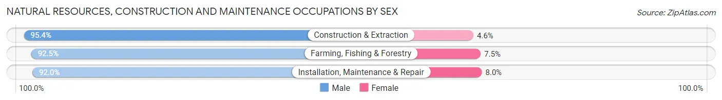 Natural Resources, Construction and Maintenance Occupations by Sex in Sagadahoc County
