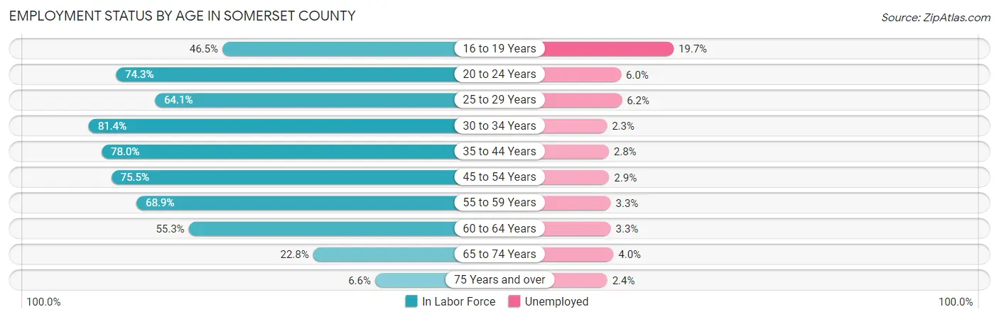 Employment Status by Age in Somerset County