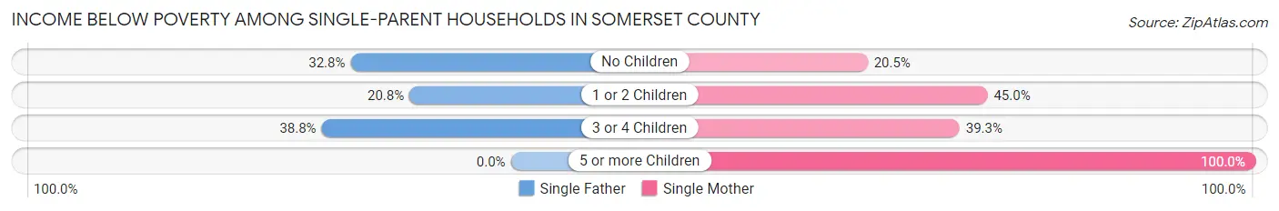 Income Below Poverty Among Single-Parent Households in Somerset County
