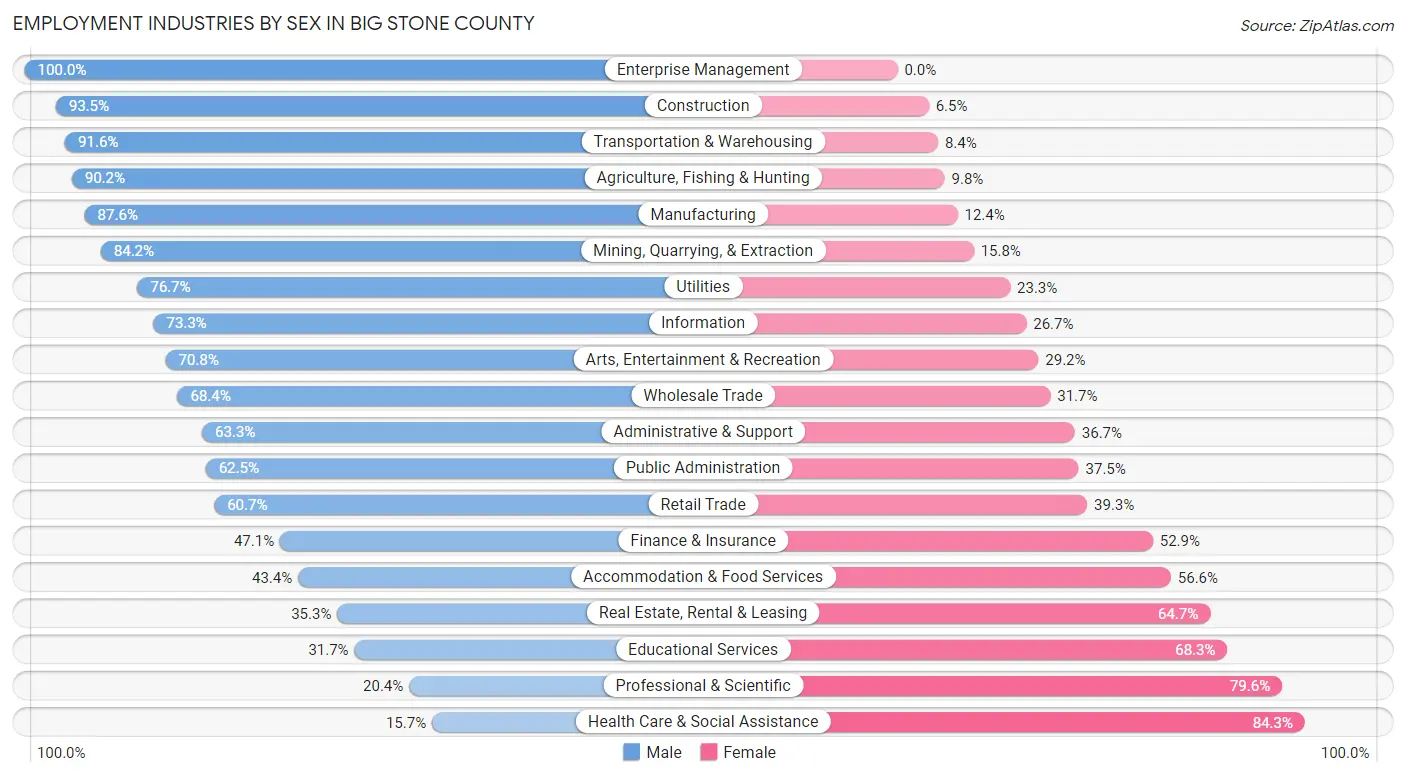 Employment Industries by Sex in Big Stone County