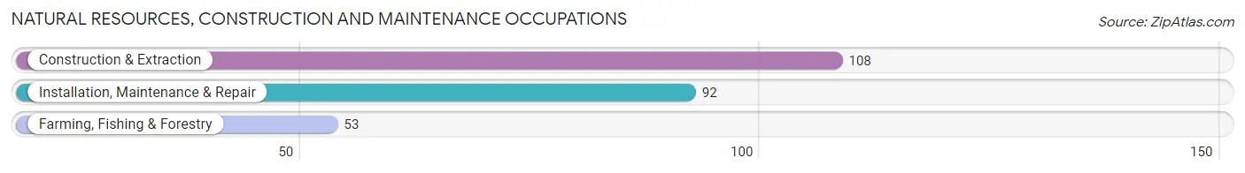 Natural Resources, Construction and Maintenance Occupations in Big Stone County