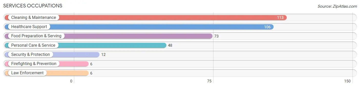 Services Occupations in Big Stone County