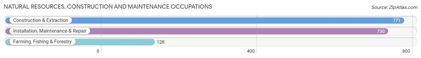 Natural Resources, Construction and Maintenance Occupations in Freeborn County