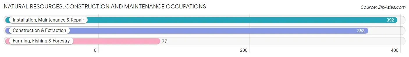 Natural Resources, Construction and Maintenance Occupations in Koochiching County