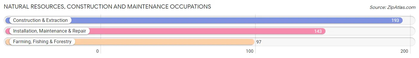 Natural Resources, Construction and Maintenance Occupations in Lac qui Parle County