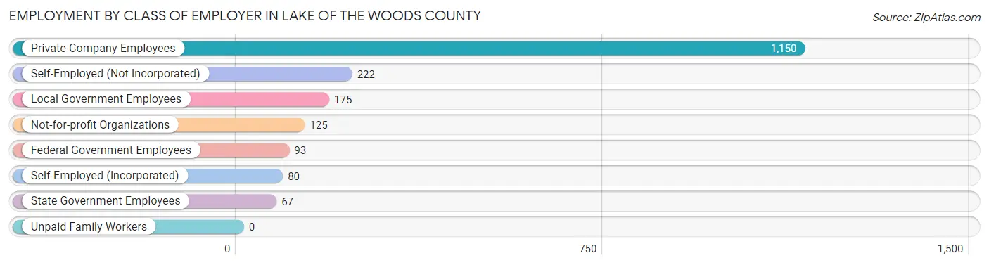 Employment by Class of Employer in Lake of the Woods County