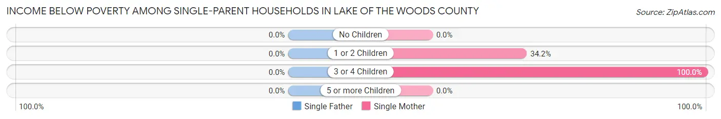 Income Below Poverty Among Single-Parent Households in Lake of the Woods County
