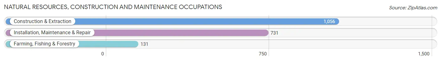 Natural Resources, Construction and Maintenance Occupations in Le Sueur County