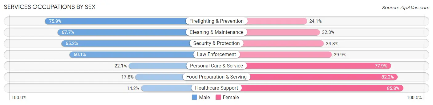 Services Occupations by Sex in Mille Lacs County