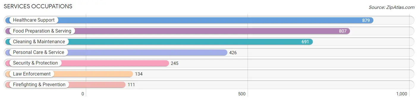 Services Occupations in Morrison County