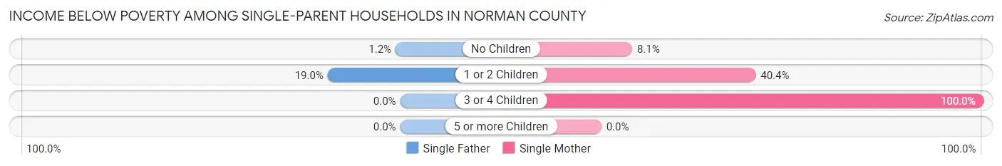 Income Below Poverty Among Single-Parent Households in Norman County