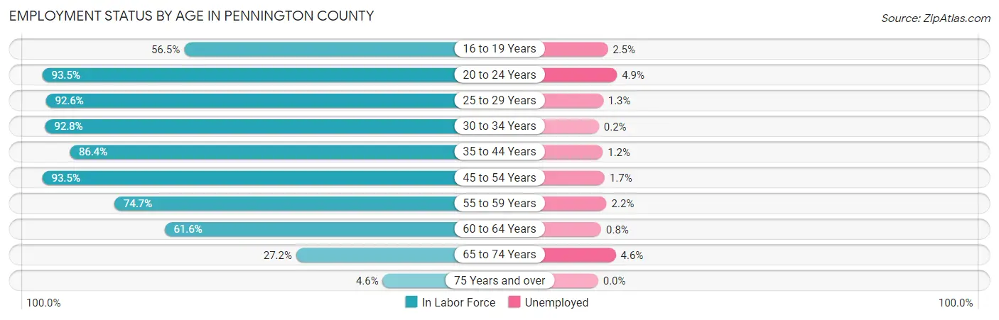 Employment Status by Age in Pennington County