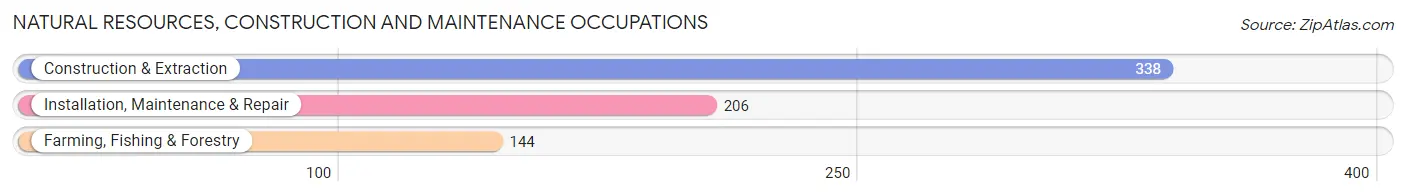 Natural Resources, Construction and Maintenance Occupations in Pipestone County