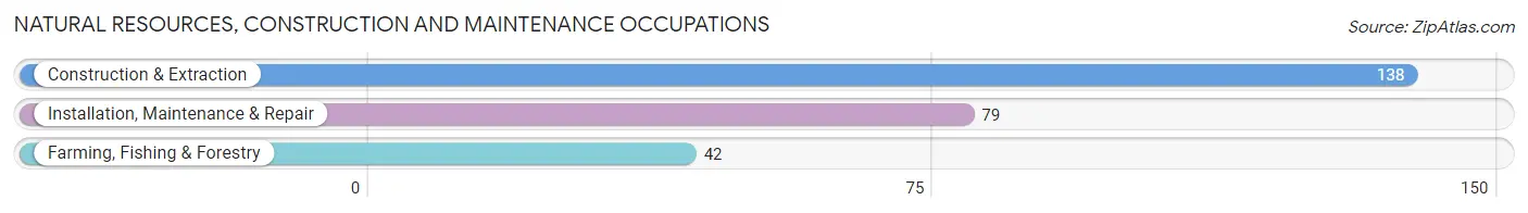 Natural Resources, Construction and Maintenance Occupations in Red Lake County