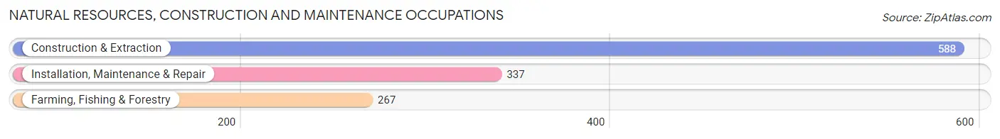 Natural Resources, Construction and Maintenance Occupations in Redwood County