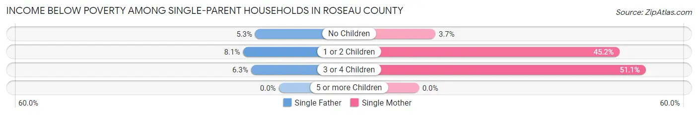 Income Below Poverty Among Single-Parent Households in Roseau County