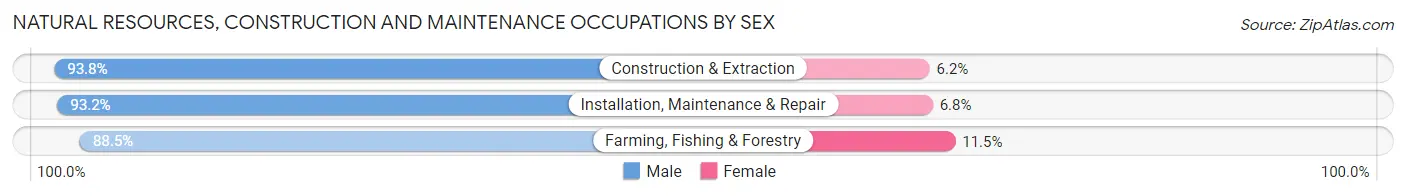 Natural Resources, Construction and Maintenance Occupations by Sex in Roseau County