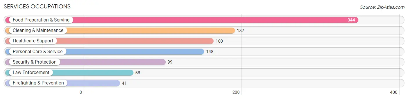 Services Occupations in Roseau County