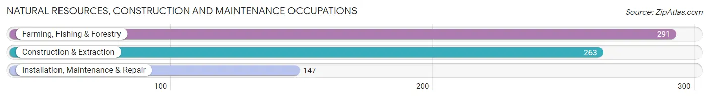 Natural Resources, Construction and Maintenance Occupations in Stevens County