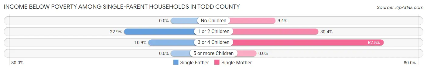 Income Below Poverty Among Single-Parent Households in Todd County