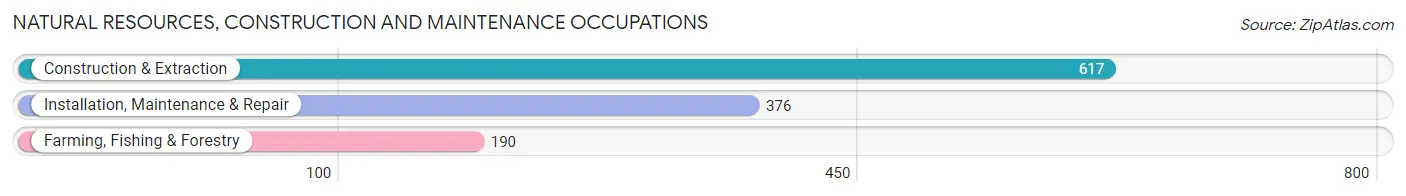 Natural Resources, Construction and Maintenance Occupations in Wabasha County