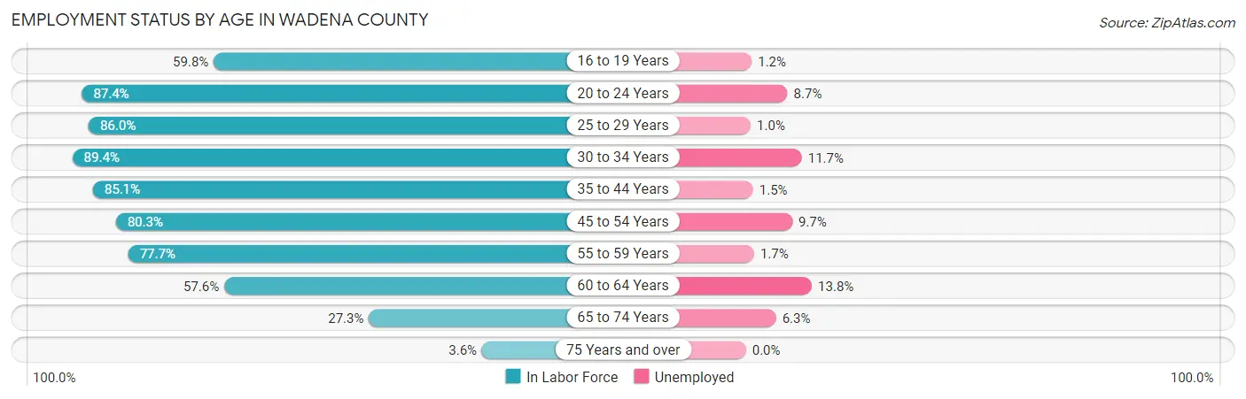 Employment Status by Age in Wadena County