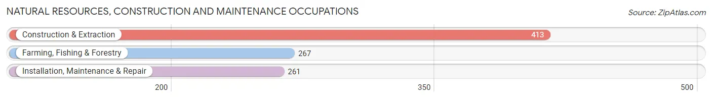 Natural Resources, Construction and Maintenance Occupations in Wadena County