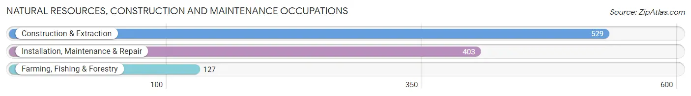 Natural Resources, Construction and Maintenance Occupations in Waseca County