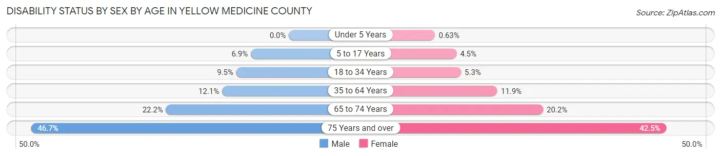 Disability Status by Sex by Age in Yellow Medicine County