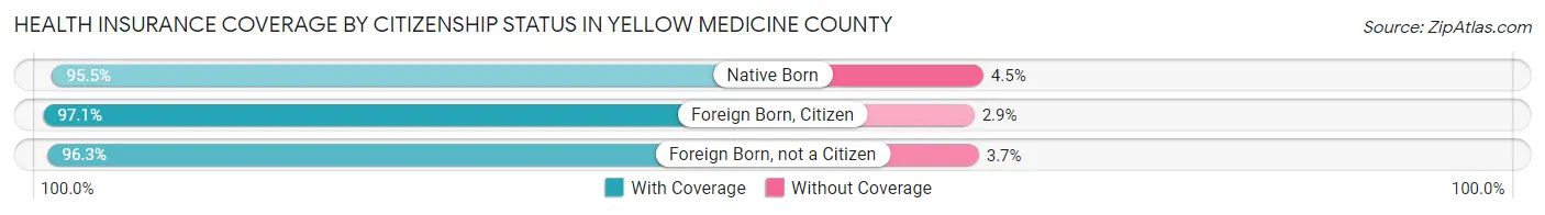 Health Insurance Coverage by Citizenship Status in Yellow Medicine County