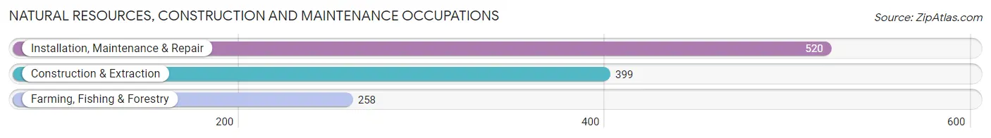 Natural Resources, Construction and Maintenance Occupations in Audrain County