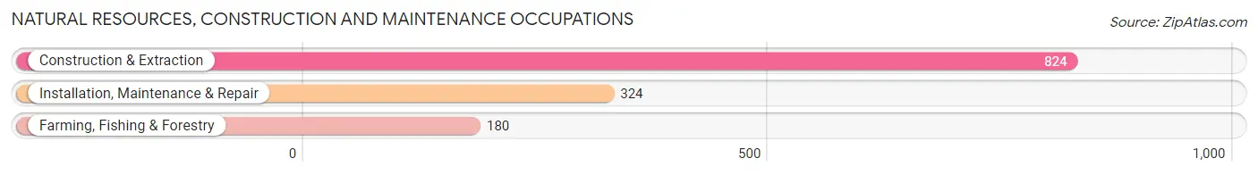 Natural Resources, Construction and Maintenance Occupations in Bates County