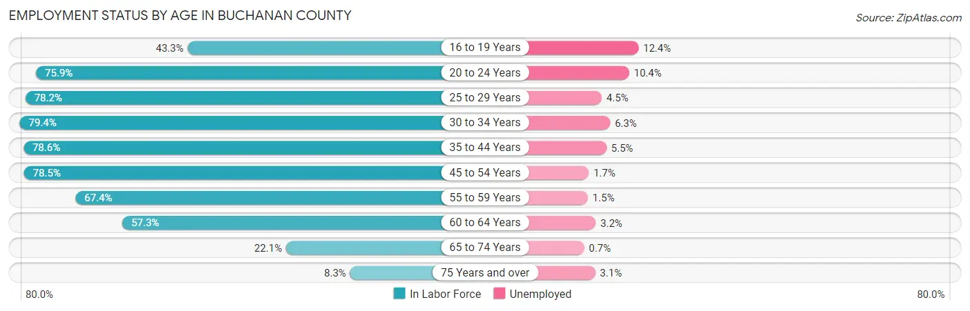 Employment Status by Age in Buchanan County