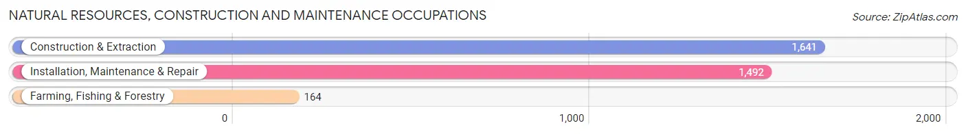 Natural Resources, Construction and Maintenance Occupations in Buchanan County