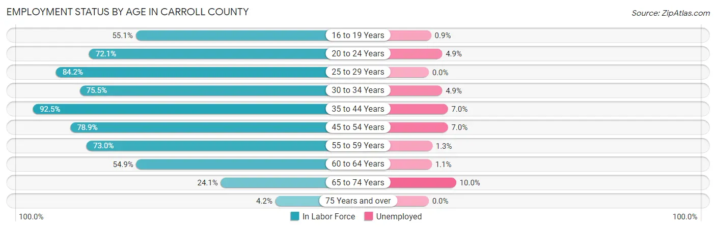 Employment Status by Age in Carroll County