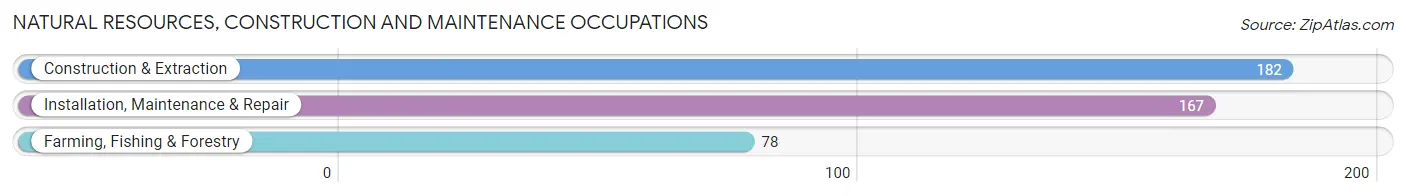 Natural Resources, Construction and Maintenance Occupations in Carroll County