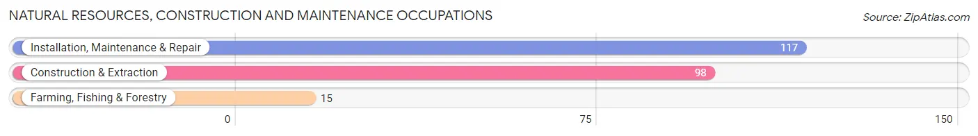 Natural Resources, Construction and Maintenance Occupations in Carter County