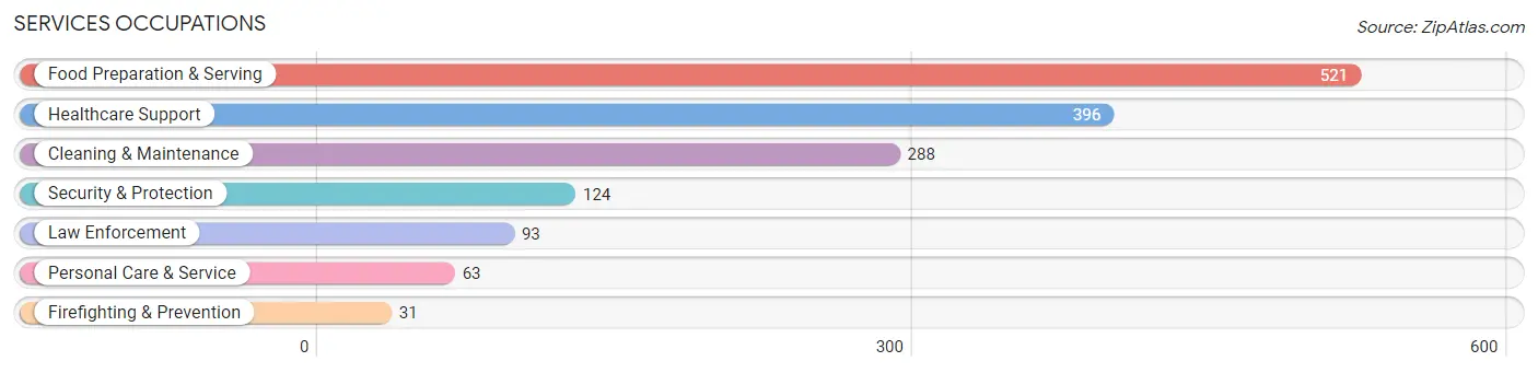 Services Occupations in Clinton County