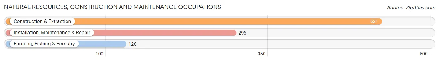 Natural Resources, Construction and Maintenance Occupations in Cooper County