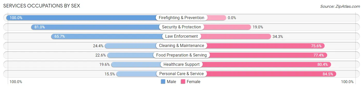 Services Occupations by Sex in Dallas County