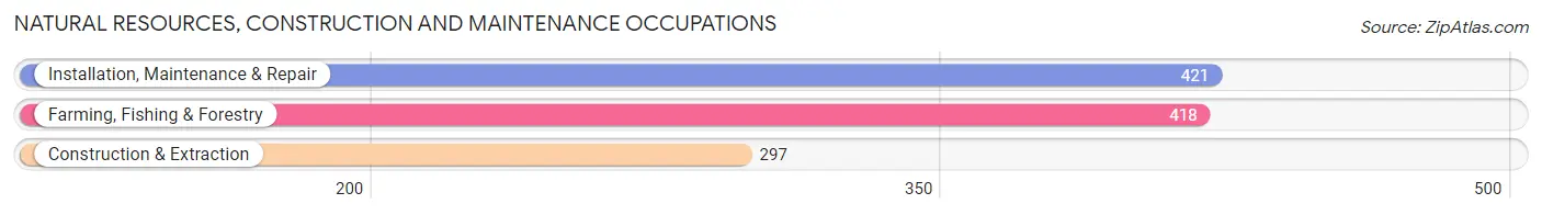 Natural Resources, Construction and Maintenance Occupations in Dunklin County