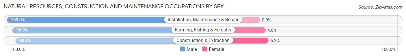 Natural Resources, Construction and Maintenance Occupations by Sex in Henry County