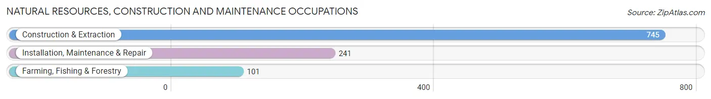 Natural Resources, Construction and Maintenance Occupations in Henry County